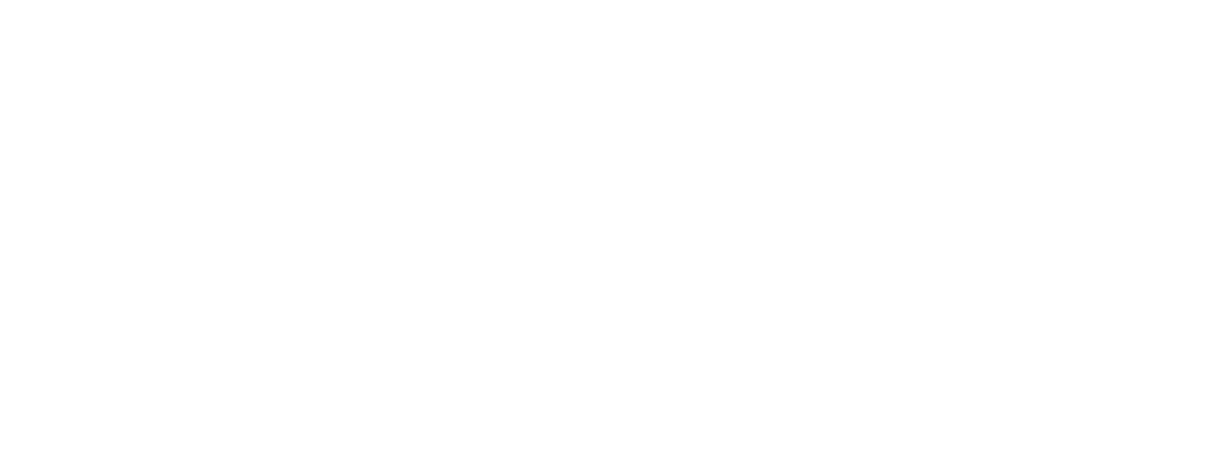 Nasi White Logo